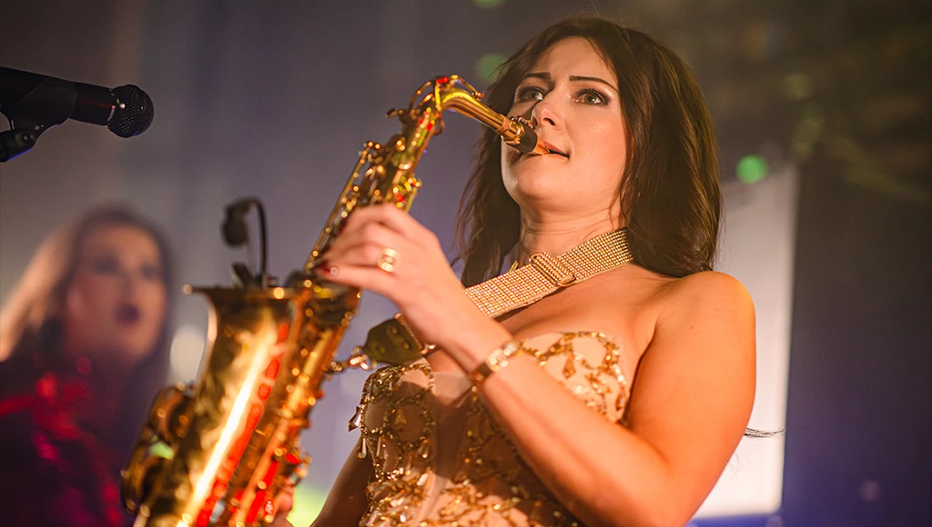 artiest bij hofstadboekingen