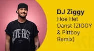 DJ Ziggy Hoe het danst